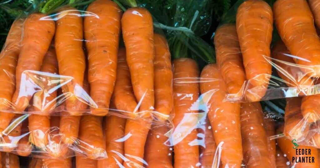 How to Store Fresh Carrots?
