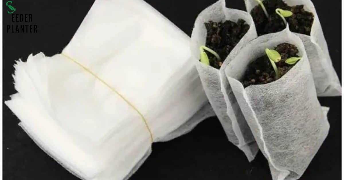 What Seeds Should Not Be Planted In Toilet Paper Roll?