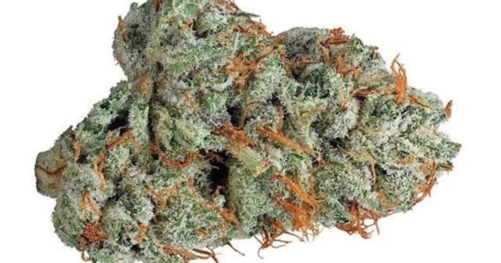 Medical Benefits of the White Mac Hybrid Strain