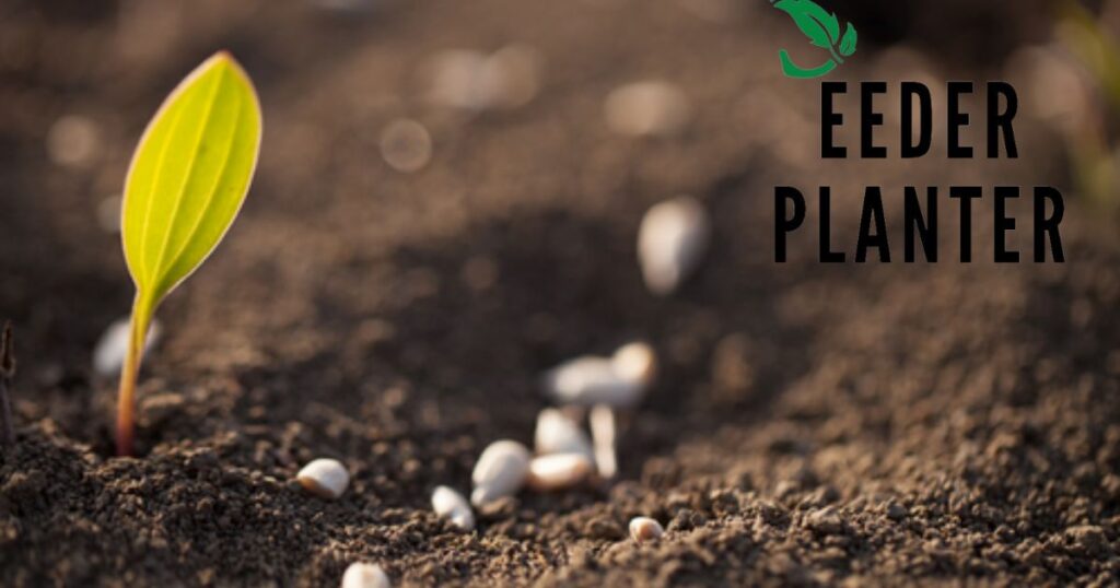 New Testament Verses About Planting Seeds