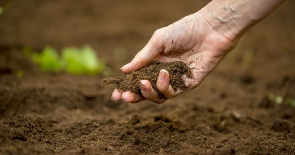 Preparing the Soil