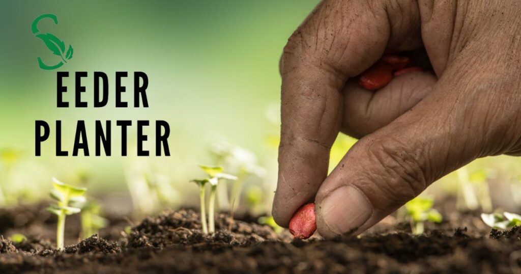 What We Can Learn From Planting a Seed of Faith