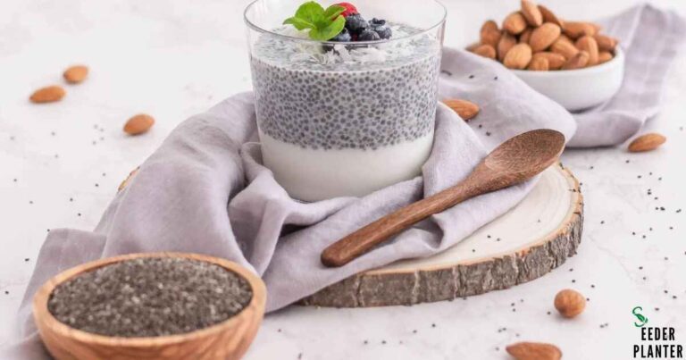 Do You Have to Soak Chia Seeds?