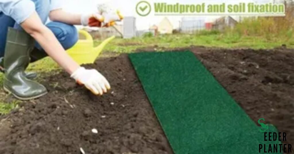 The Foundation: Preparing Your Soil for Grass Seed