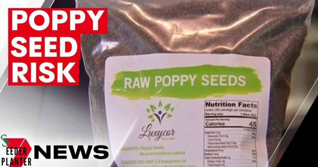 What Is Poppyseed Poisoning?