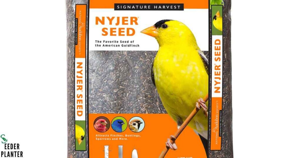 What is Nyjer Seed?